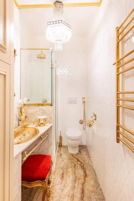 博洛尼亚Ground Floor Luxe Historic Studio City Centre公寓 外观 照片