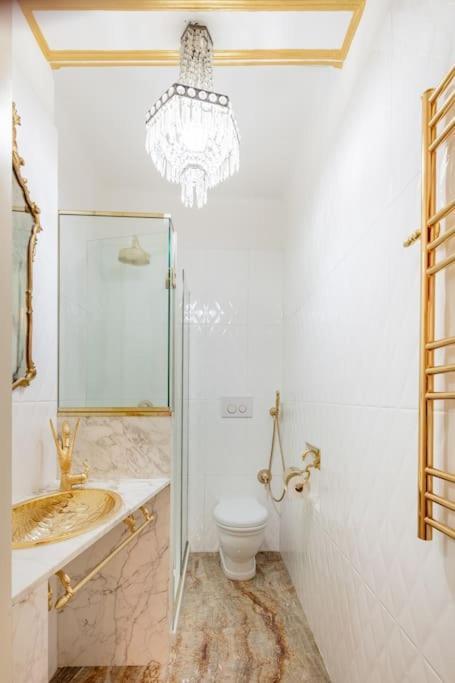 博洛尼亚Ground Floor Luxe Historic Studio City Centre公寓 外观 照片